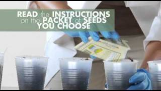 Using your Phototron Step 3: Preparing the Germination Cups and Planting seeds.
