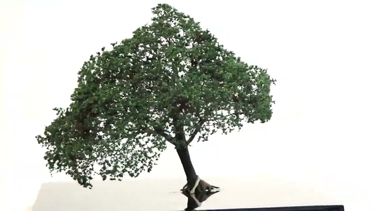 完成樹木模型 名木 約12cm 樹洞、うろ ：Art Stage K 塗装済完成品