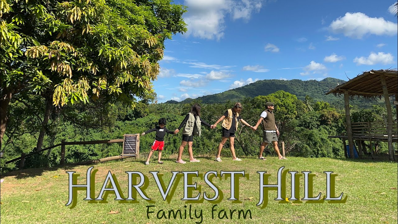 Harvest Hill Family Farm (Hilltop Camping) YouTube