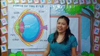 Multi-grade Teaching Demonstration