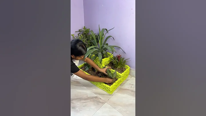 Tharmocal and Cement craft 🫶🏻 #garden #crafts #reels #flowerpot