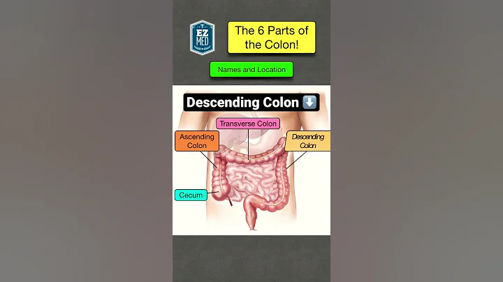 How to Remember the 6 Parts of the Large Intestine...