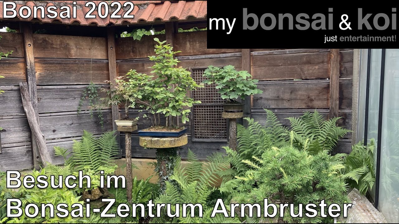 Bonsai 2022-34 - QUICK STOP! - Besuch im Bonsai-Zentrum Armbruster