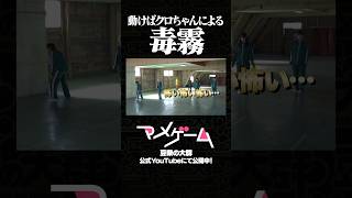 【レオナエンパイア】マメゲーム Ep1 「だるまさんがころんだ」 #クロちゃん #豆柴の大群 #イカゲーム #豆tube
