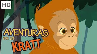 🐒 Aventuras con los Kratt - Balanceándose con los Monos | Videos para Niños