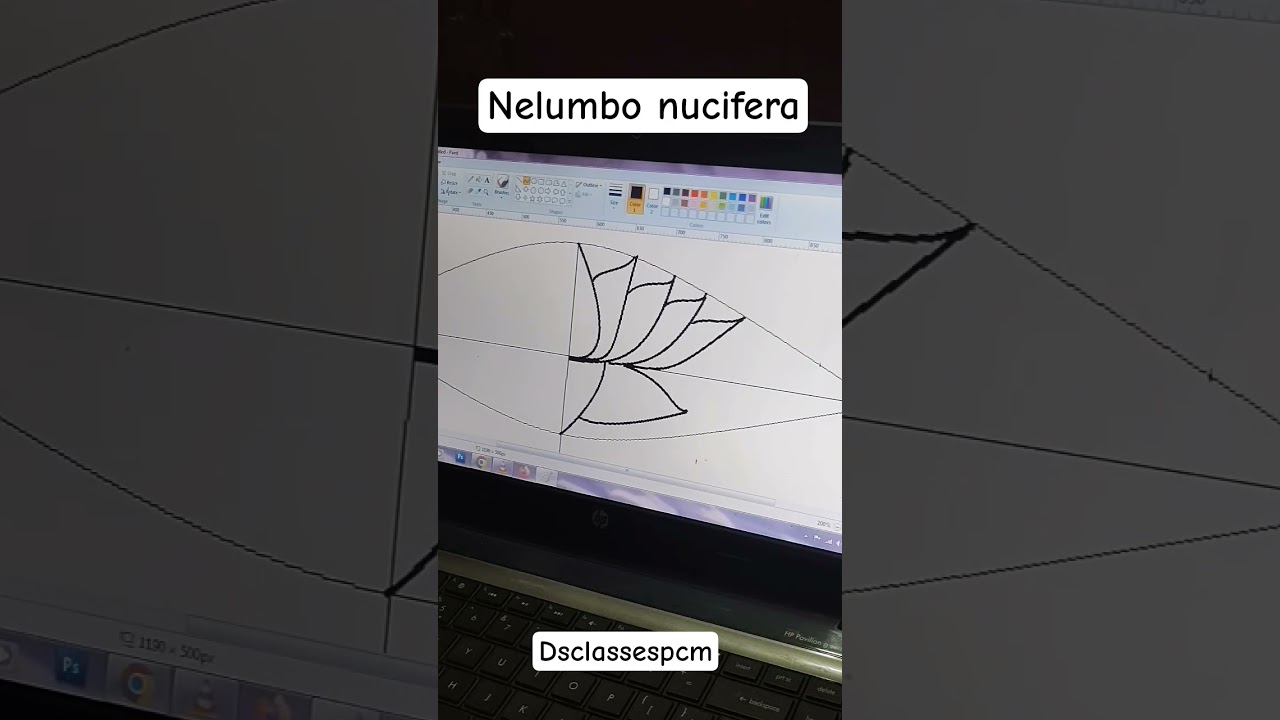 lotus flower in ms paint 