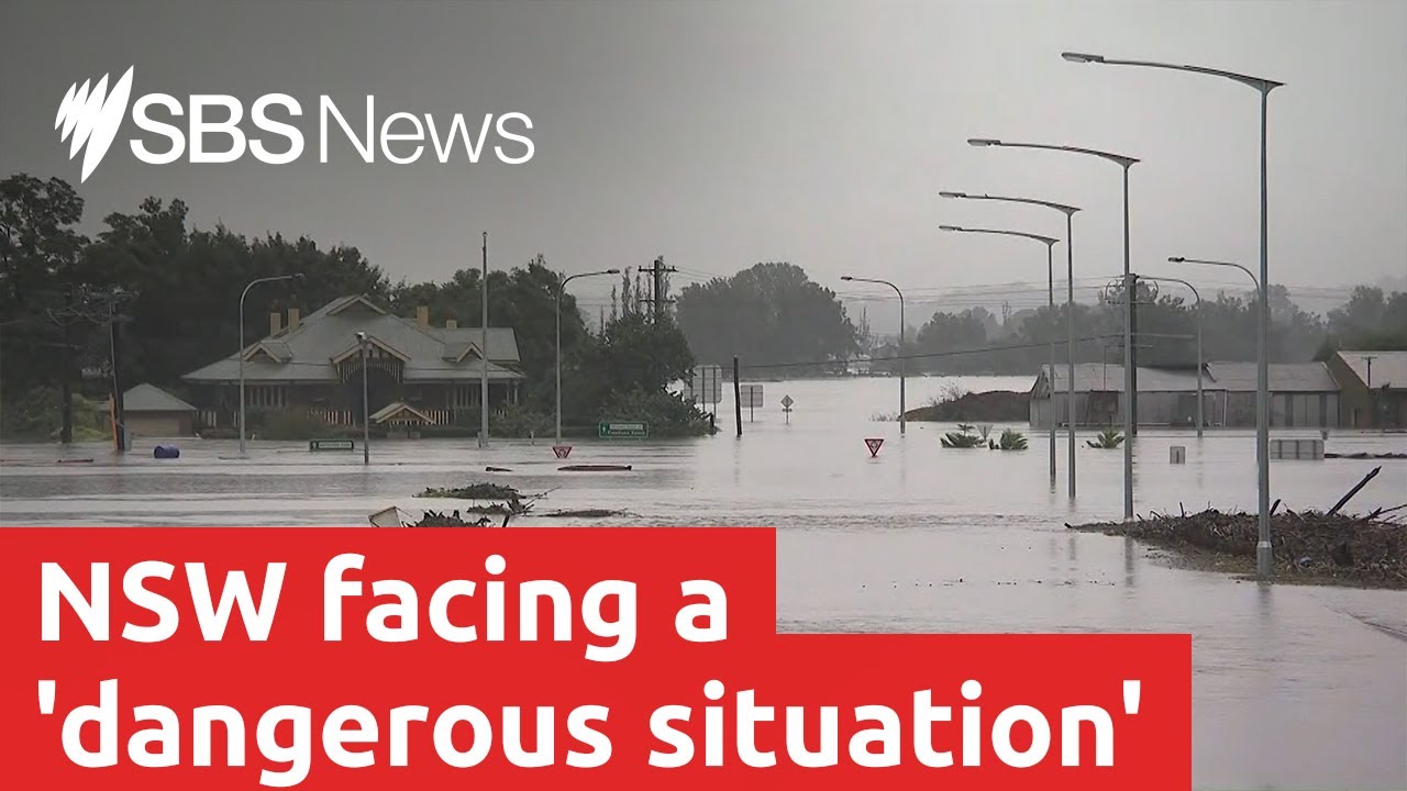 Ten million Australians are currently under a weather warning I SBS News