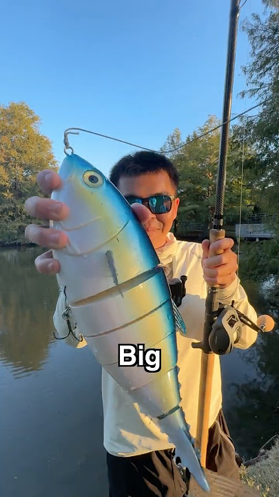 World’s Most REALISTIC But RIDICULOUS Bait EVER…