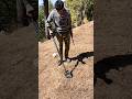 go Find metal detectors treasure searching #metaldetector #metal #hunting #treasure
