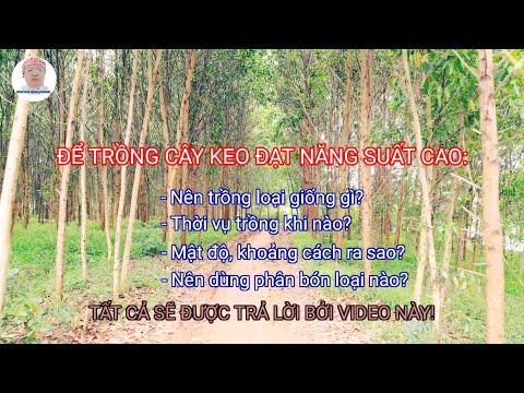 Video: Đất vườn: quy hoạch là chìa khóa để đạt năng suất cao