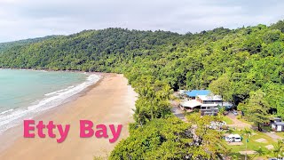 Etty Bay Far North Queensland And Cassowaries