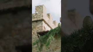 Castello il Palagio | A day in Tuscany