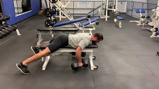 DB Batwing Rows