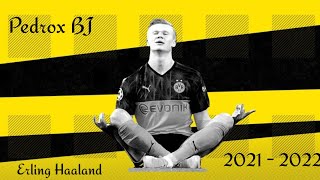 Erling Hallands Song Skills And Goals 2021 2022
