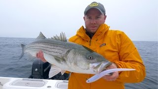Cape Cod Bay Striper Fishing with Hogy Pro Tails