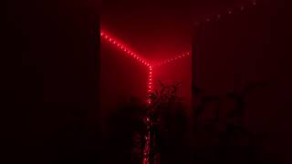 Tenmiro 65.6 FT LED Strip Lights from AMAZON!! Experienced dim lights on second box opened.. FIXED!!