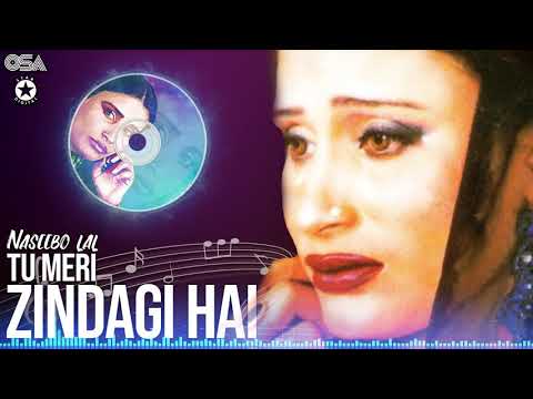 Tu Meri Zindagi Hai - Naseebo Lal Her Best - Superhit Song | official HD video | OSA Worldwide