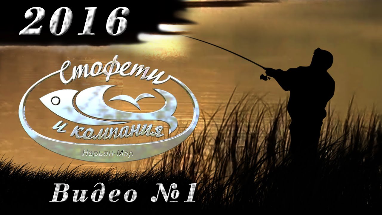 Рыбалка на севере Стофети и компания 2016 1