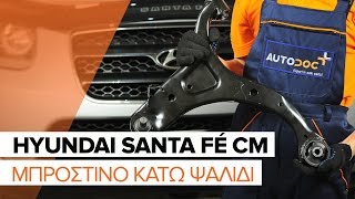 Αντικατάσταση Ψαλίδια αυτοκινήτου HYUNDAI SANTA FE: εγχειριδιο χρησης