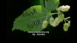 الحلقة الثانية مسلسل ورق التوت