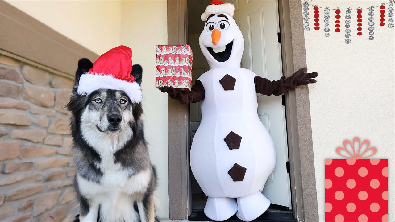 Kakoa's Pretend Play Gift Giving on Christmas!