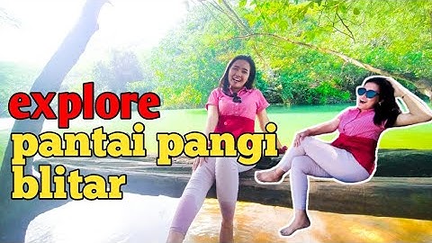 Keindahan alam pantai pangi BLITAR