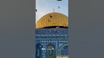 لها فرج ولو كل الفضا ضاقت درب التفاؤل 
