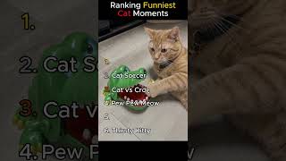 Ranking the FUNNIEST Cat Moments 🐱 #funny #cats #ranking