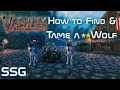 Valheim How to Find a Two Star Wolf to Tame