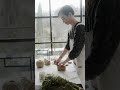Mycelium Packaging 🍄 |  |#Viral#GreenTech#EcoFriendly#SustainableFuture #EcoVibeIndia
