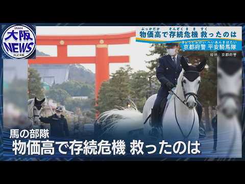 The horse-riding police force, the Heian Cavalry, is in danger of going out of business...support...