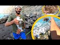 How to attract sargos fish to the fishing place  in addition to how to make bait for the pilota