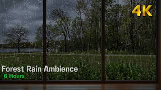 Heavy Rain and Thunder in the Forest 🌲 Cozy Storm Ambience for Sleeping (4K)