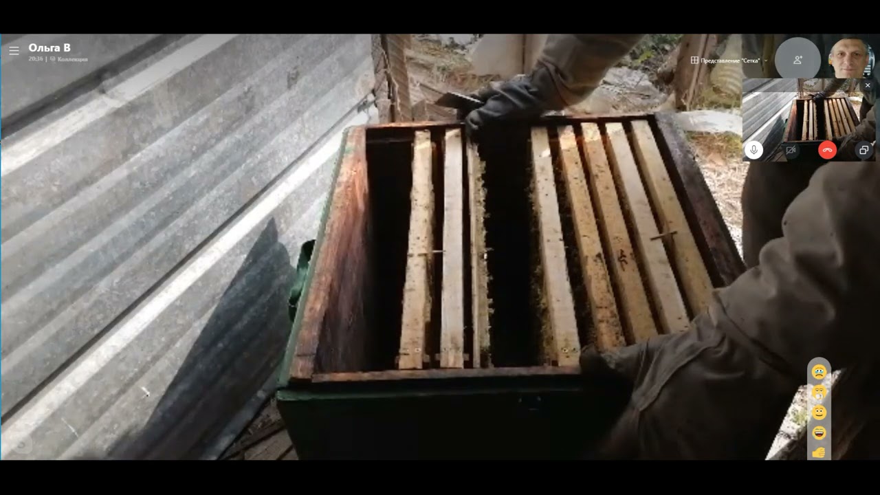 ПРОВЕРКА СОКРАЩЕНИЯ