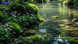 Let Go of Overthinking with Soft Calming Sounds for Inner Peace screenshot 2