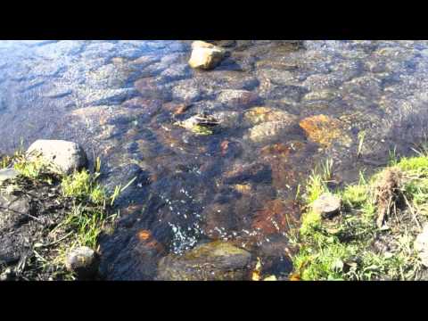 キラキラ ニコニコ 玉置浩二