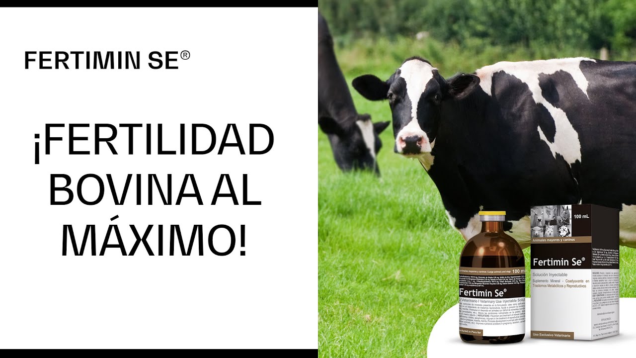🚀 Fertimin Se ¡El Secreto de la Fertilidad Bovina!🐄✨