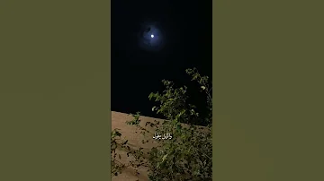 بالي مشغول بهواك على طول والليل يطول ونا مش وياك فضل شاكر معقول ستوريات تصميم اغاني حالات 