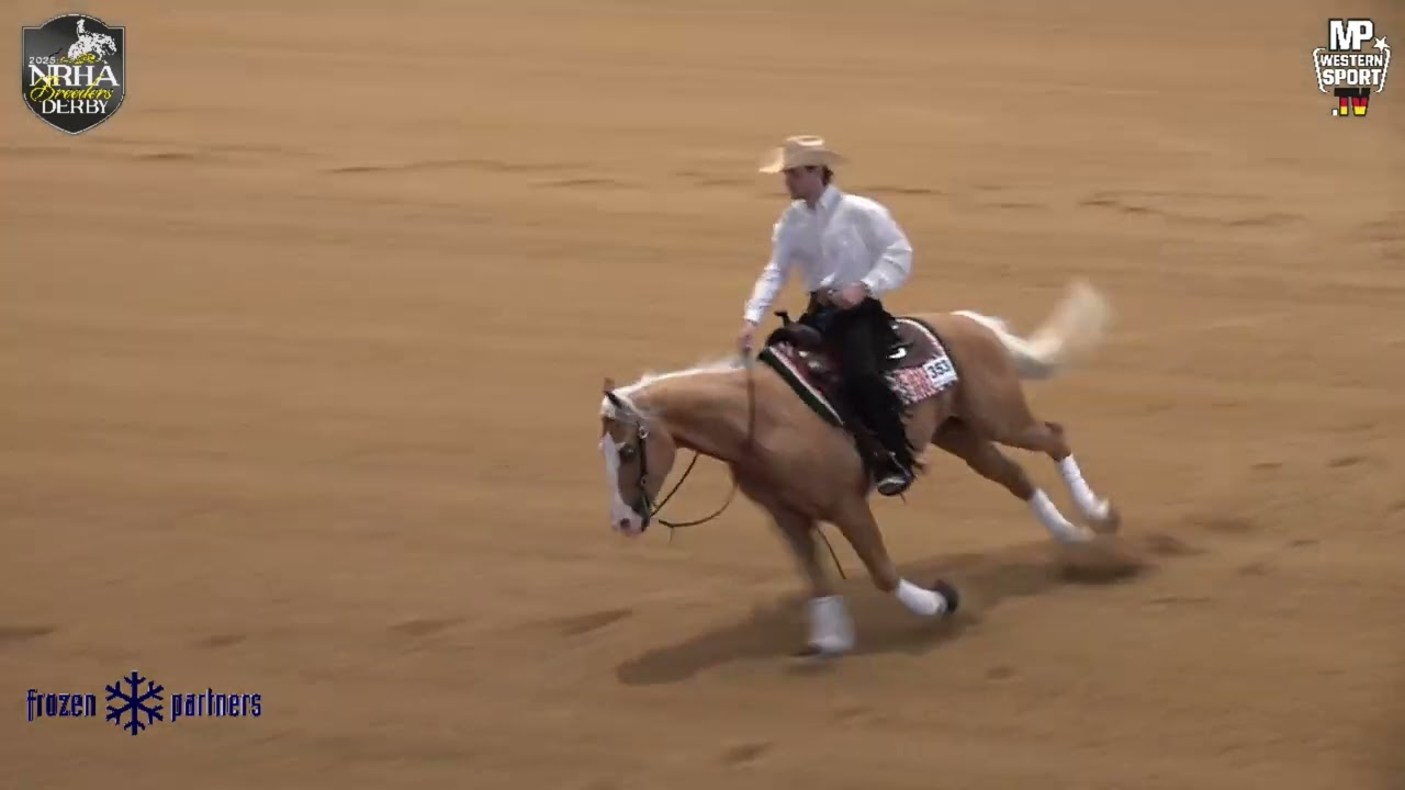 SPOOKS BLUE SHINE, Felix Larson, 353, Finale NRHA Germany Open Breeders Derby 2025, Kreuth