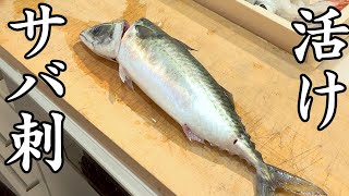 [June Recommendation] This Is the Best Fish to Eat Live-Fresh