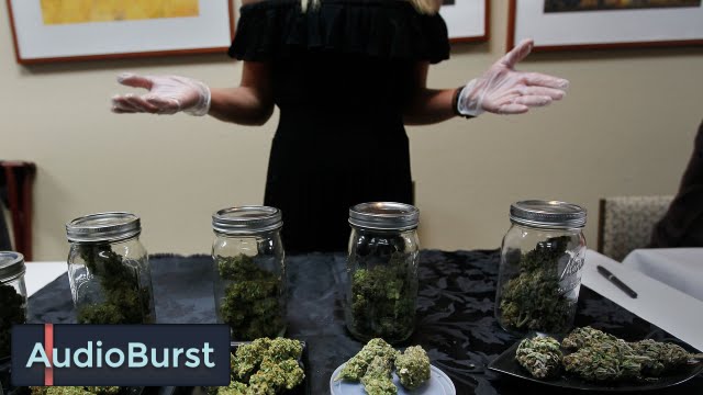 Medical Vs. Recreational Marijuana: The Differences You Should Know