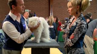 Best Of  My Name Is Earl Promos