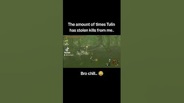 bro, can you not? #legendofzelda #zelda #loz #totk #tearsofthekingdom #botw #gaming #fail #lol