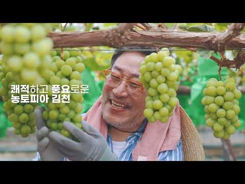 휴먼 터치(Human Touch): 숫자를 지우고 '사람'을 남기다