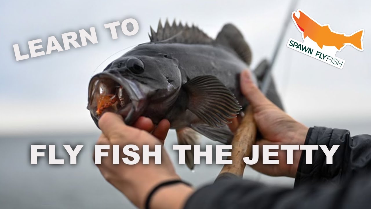 HOW TO FLY FISH THE JETTY YouTube