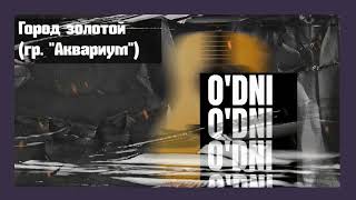 O'DNI - Город золотой (гр. \