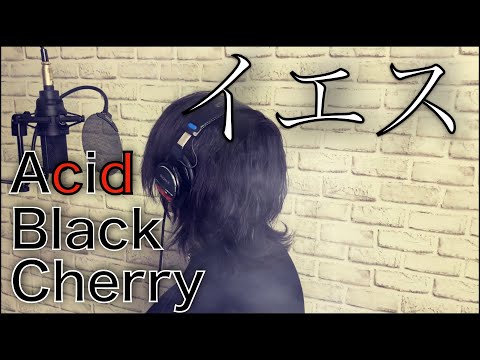 『イエス』/Acid Black Cherry【covered by u】【歌ってみた】