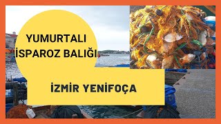 Eski̇ Foça Gezi̇yoruz (İsparoz Balığı Nasıl Yapılır - Foçada Son Yaz)