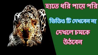 LIVE 3D TYPE WALLPAPER APP FOR ANDROID MOBILE / ZERO WALLPAPERS ! JDM XPRESS in Bangla screenshot 5