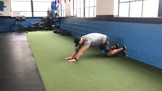 Bear Hold Walkout vs. Wall
